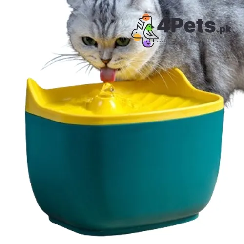 Cat Face Water Fountain For Pets