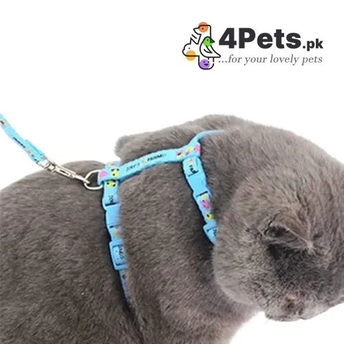 Cat Harness And Leash Set