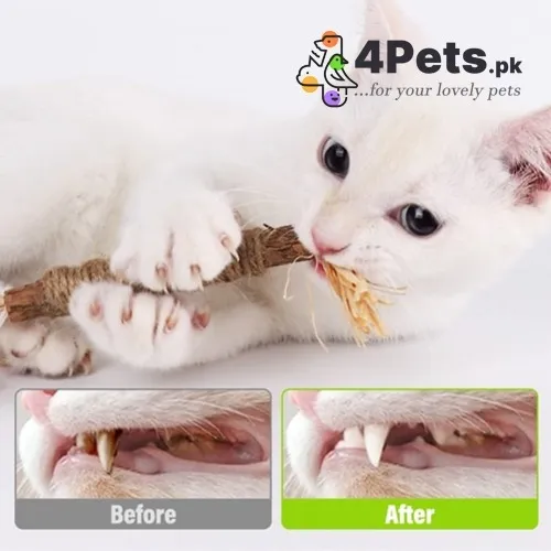 Catnip Stick Raffia Grass