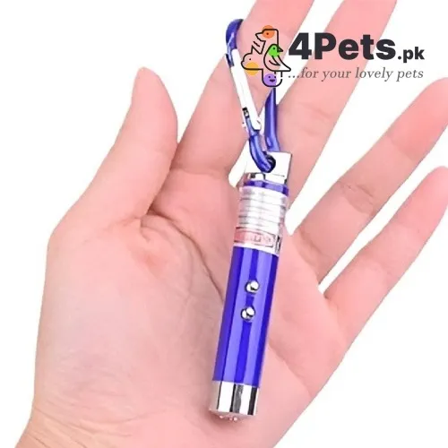 Laser Light For Cats