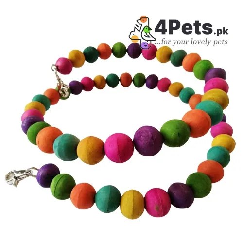 Parrot Toy Spring Large