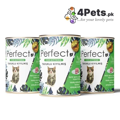 Perfect Kitten Pate With Chicken Tin