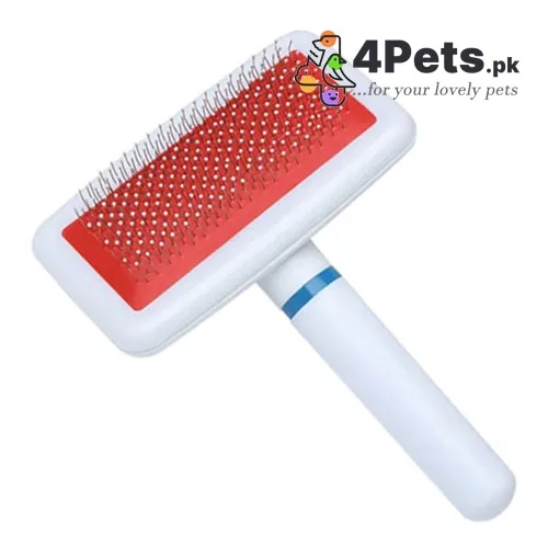 Best Price Pet White Plastic Slicker Brush